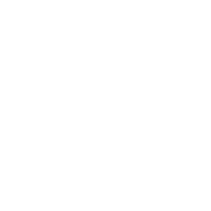 Financial Modeling icon